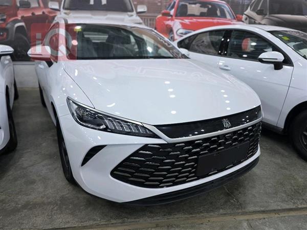 بي واي دي Qin Plus 2025 للبيع في العراق -  بغداد